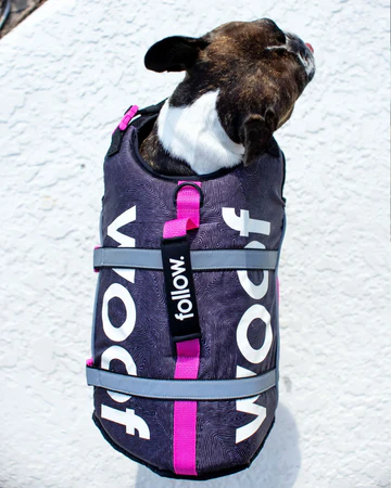 Dog Floating Aid | Pink,Floating Aid,Buoyancy Aid,Follow Wake,Pink,Dog Life Vest