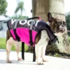 Follow Wake Dog Floating Aid | Pink